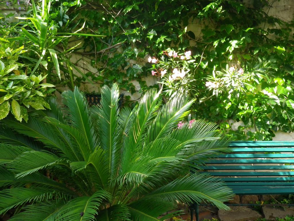 Chez Catherine Roquebrune-sur-Argens Buitenkant foto