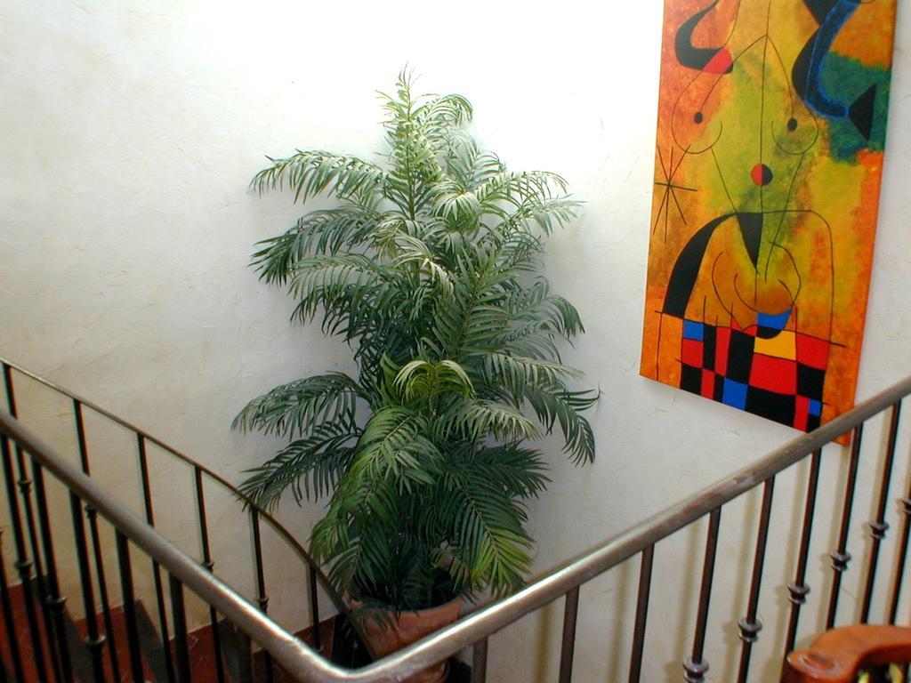 Chez Catherine Roquebrune-sur-Argens Buitenkant foto